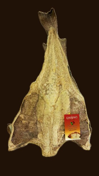 Atlântico Graúdo 2/2.5kg (aprox.)